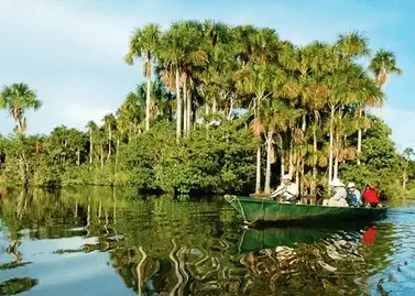 探索坦博帕塔丛林3天2夜之旅