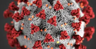 阿雷基帕旅行者的 COVID-19 抗原测试