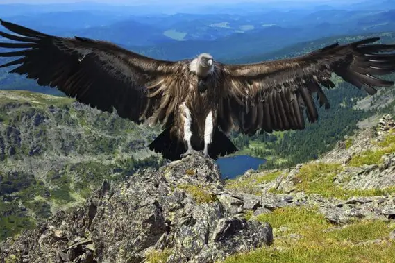 2 天 1 夜科尔卡峡谷之旅（普诺出发）+ 前往阿雷基帕